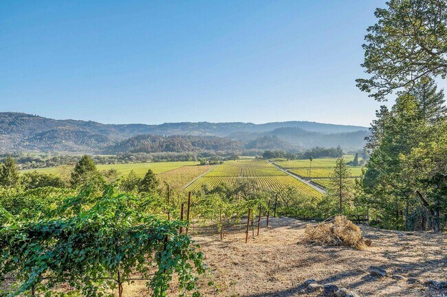 Building Photo - 3397 St Helena Hwy