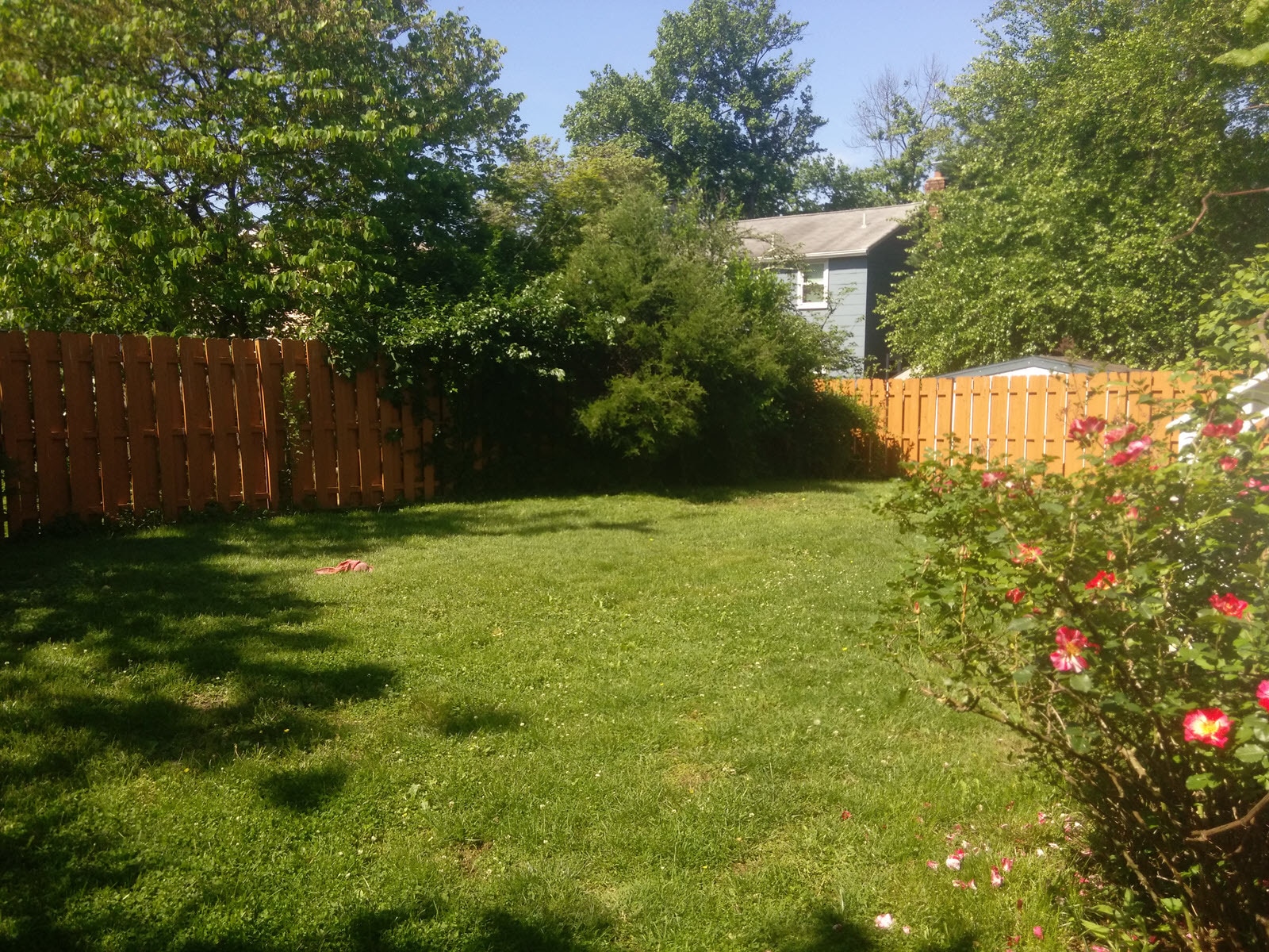 Building Photo - 5608 Lone Oak Dr