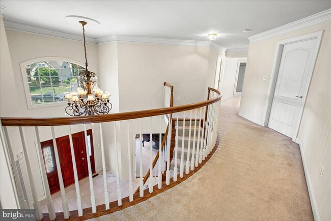 Building Photo - 10243 Brittenford Dr