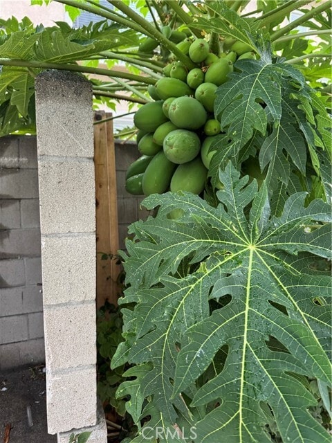 Building Photo - 5704 Sultana Ave