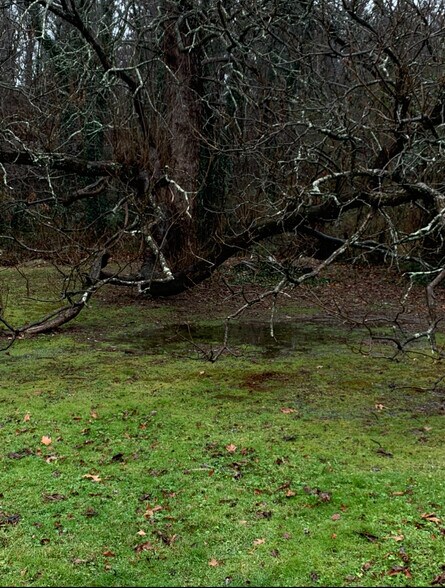 Building Photo - 62 Debra Ln