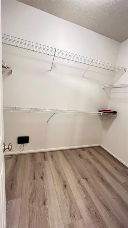 Building Photo - 10710 Brookshire Ln