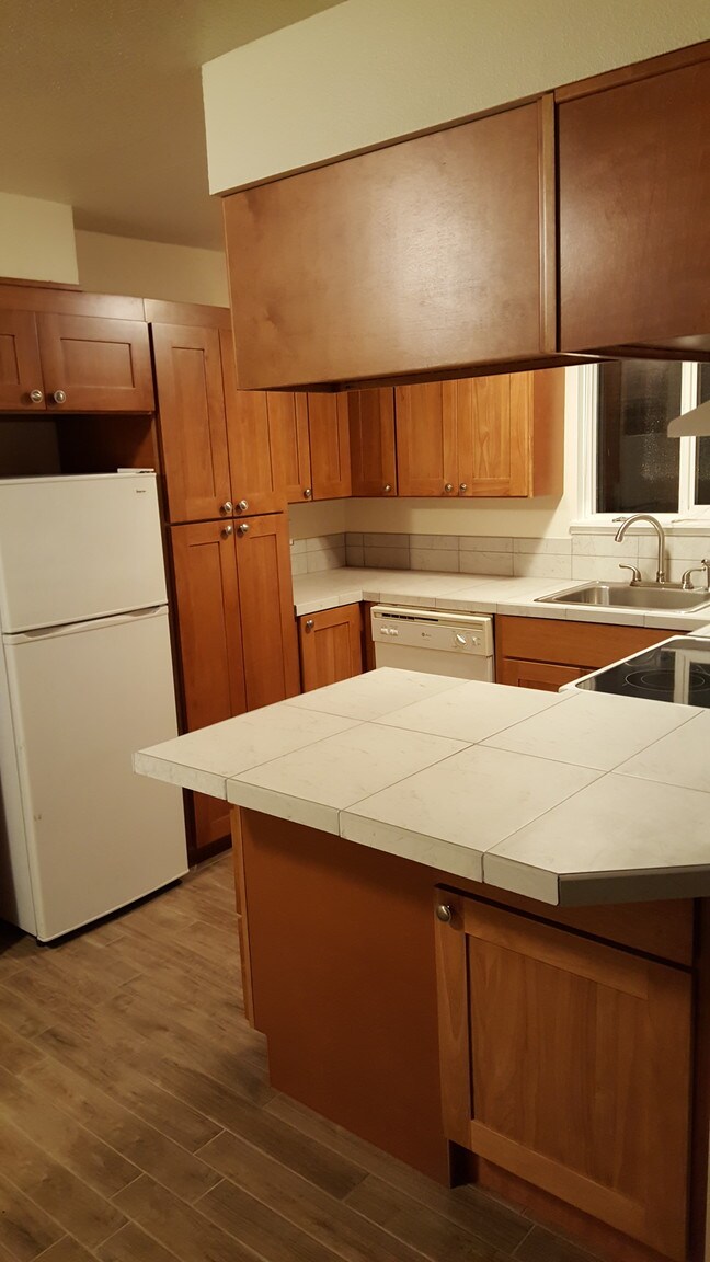 unit d kitchen - 1045 S Jasper St