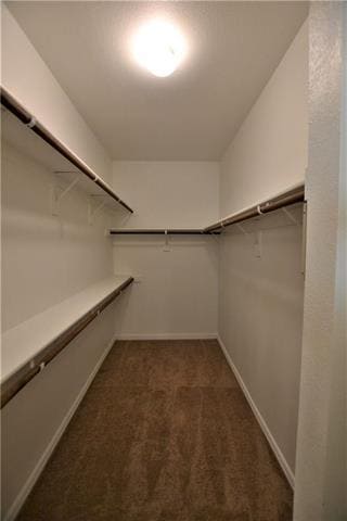 Building Photo - 717 Jennie Marie Cir