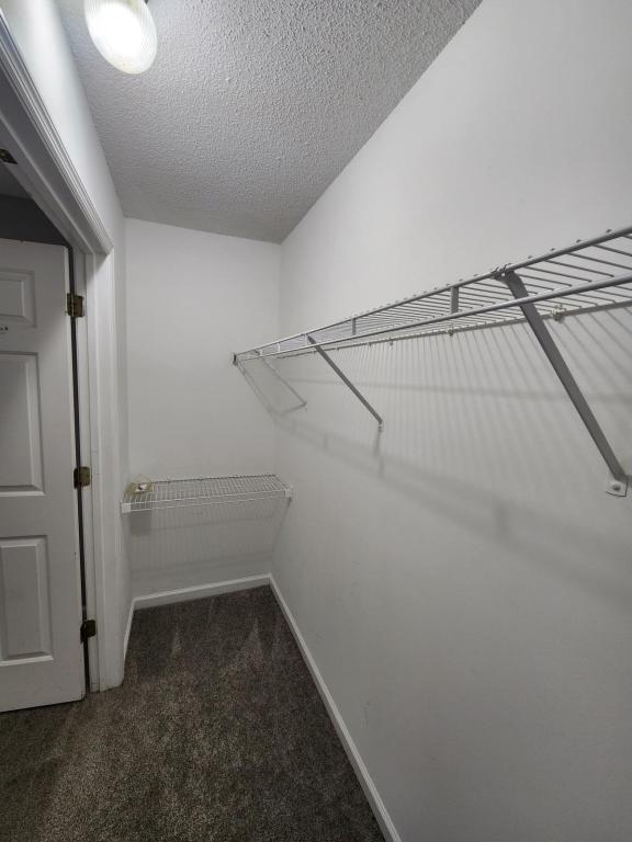 Building Photo - 111 Maddux Ln