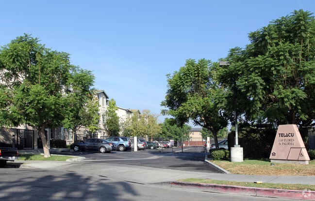 Building Photo - Telacu Las Flores Apartments