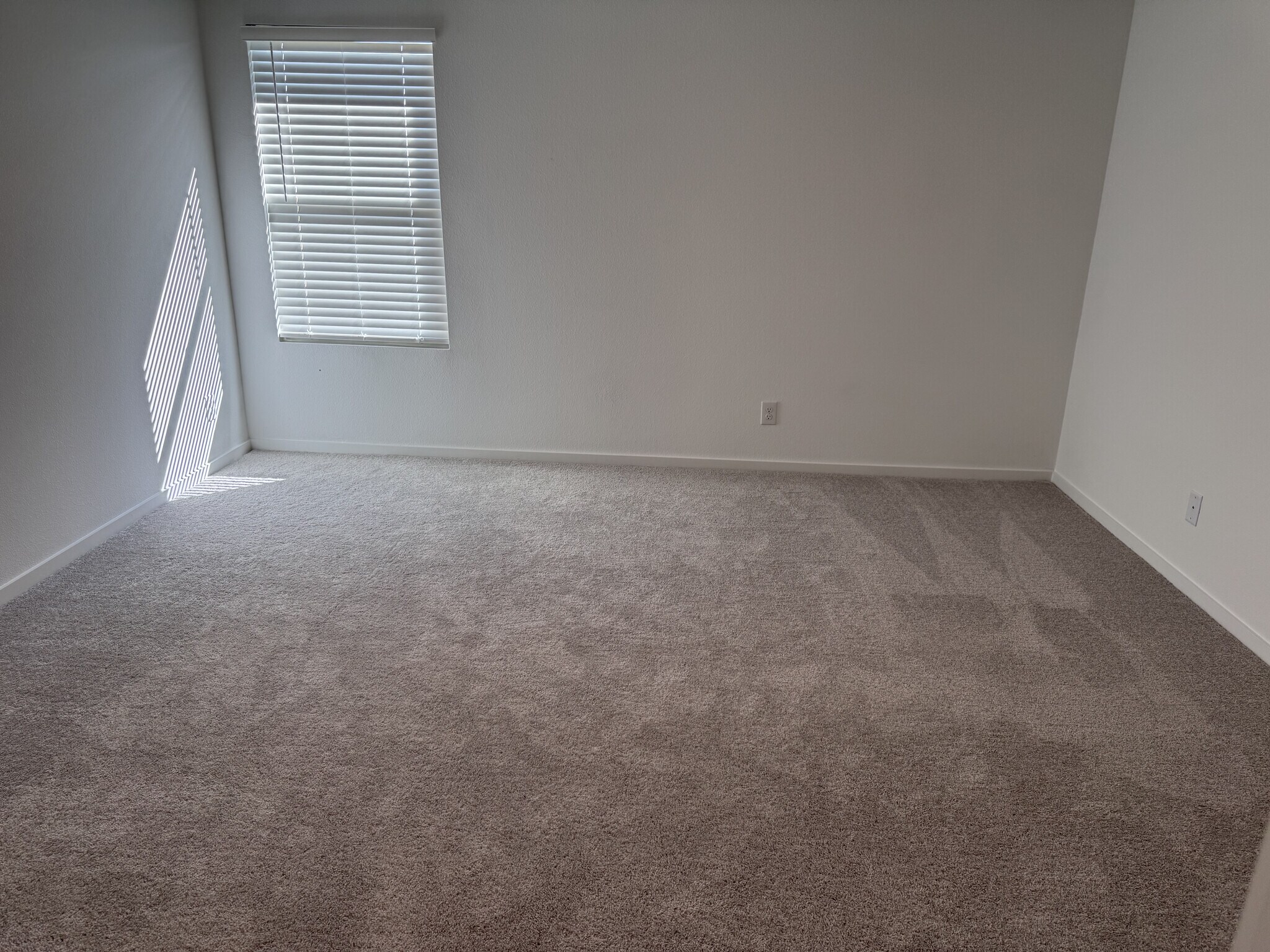Master Bedroom - 1355 Wedgeleaf Ln