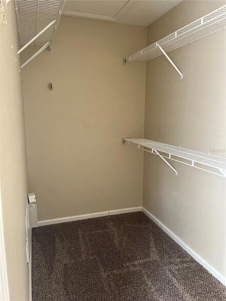 Building Photo - 2751 Conch Hollow Dr