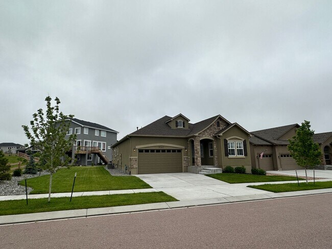 Building Photo - Beautiful 4BD Ranch-Style Home in Wolf Ranch