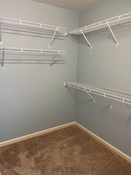 Building Photo - 320 Red Elm Ln