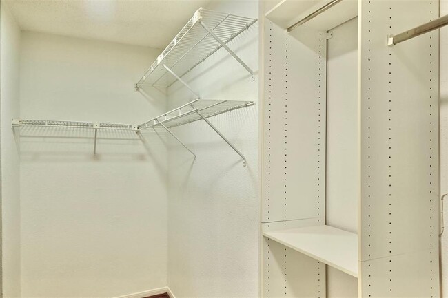Building Photo - 3114 Hollow Creek Ct
