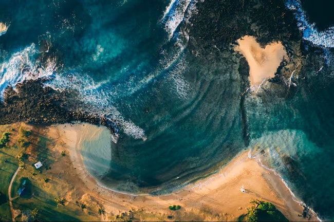 Building Photo - 2841 Milo Hae Loop