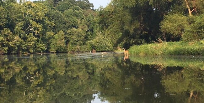Building Photo - 10394 Meadowhead Cir
