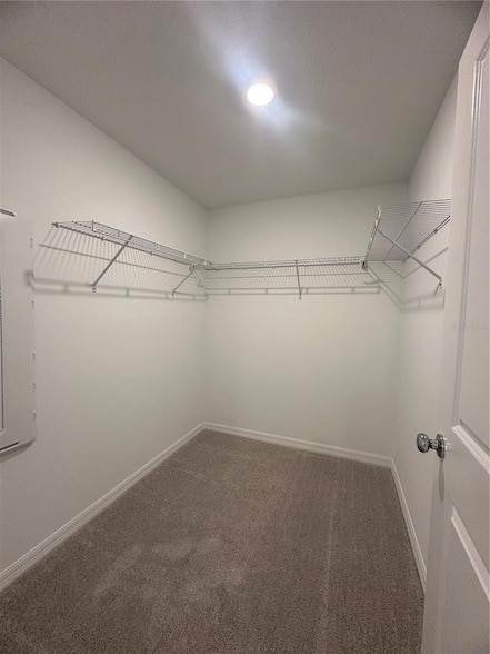 Building Photo - 8795 Coqui Song Ln