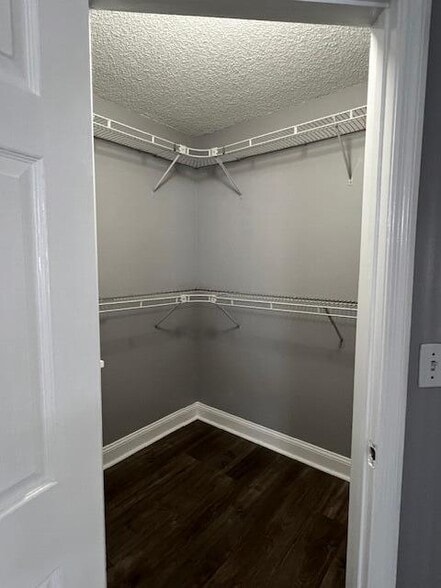 Building Photo - 2163 Madeira Dr