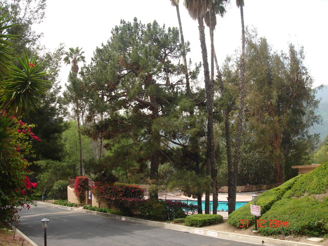 Pool area - 1935 Alpha Rd