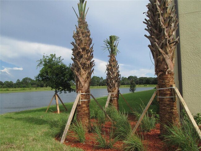 Building Photo - 20209 Lagente Cir