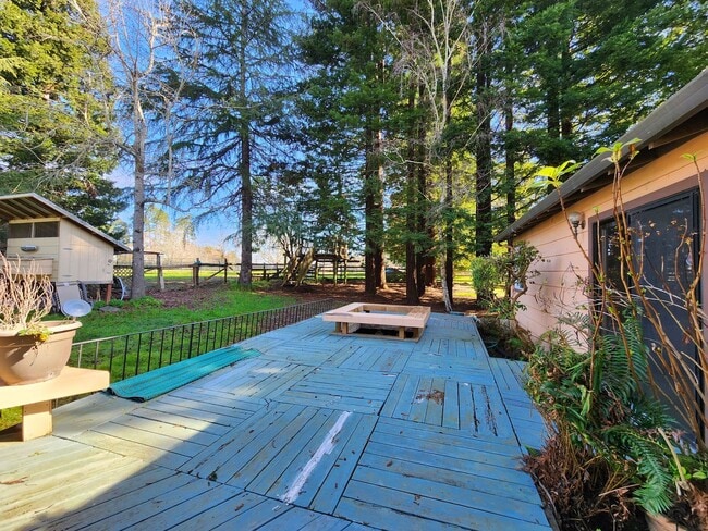 Building Photo - Country Property in Sebastopol