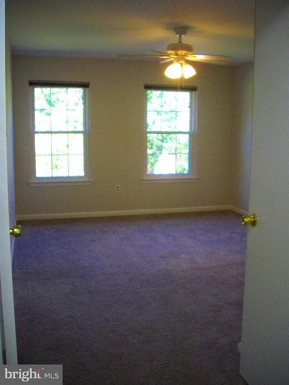 Building Photo - 3943 Collis Oak Ct
