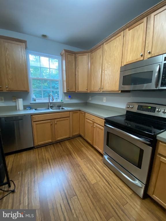 Building Photo - 123 Swearingen Way