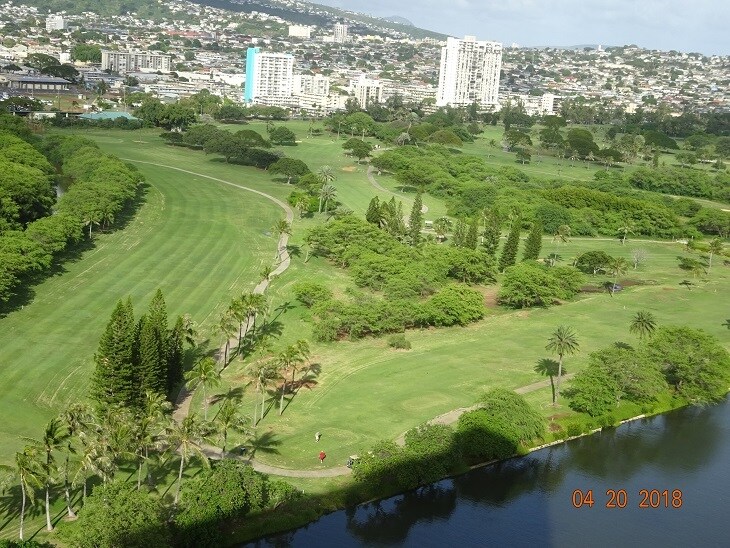window view 2 - 2211 Ala Wai Blvd