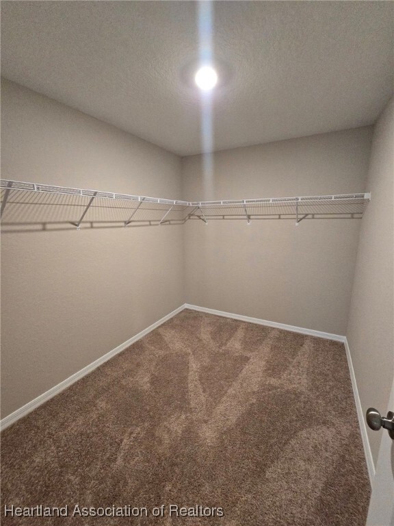 Building Photo - 5519 Castania Dr