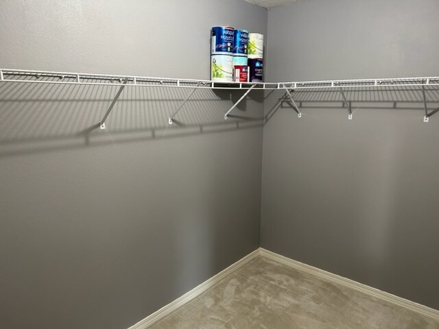 Building Photo - 5061 Ring Rose Ct