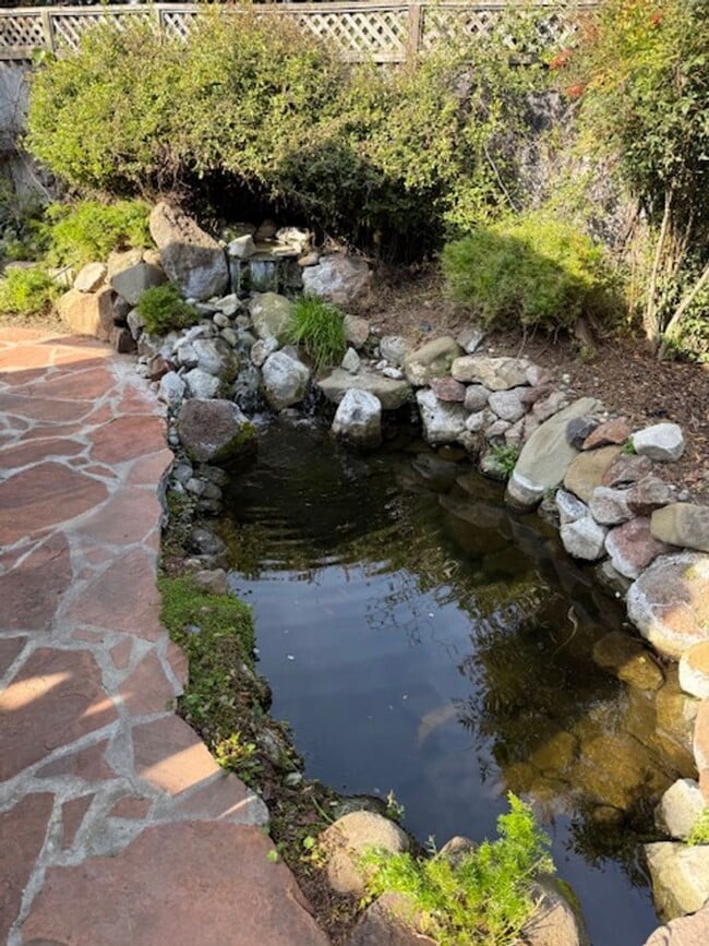 Building Photo - Pleasanton Valley 4 bed, 2 bath with a Unique Touch: Koi Pond