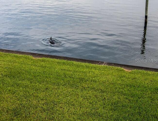 Building Photo - 1361 Snell Isle Blvd NE