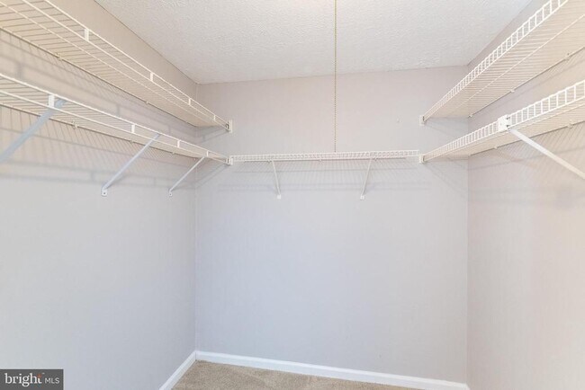 Building Photo - 3348 Raccoon Ct