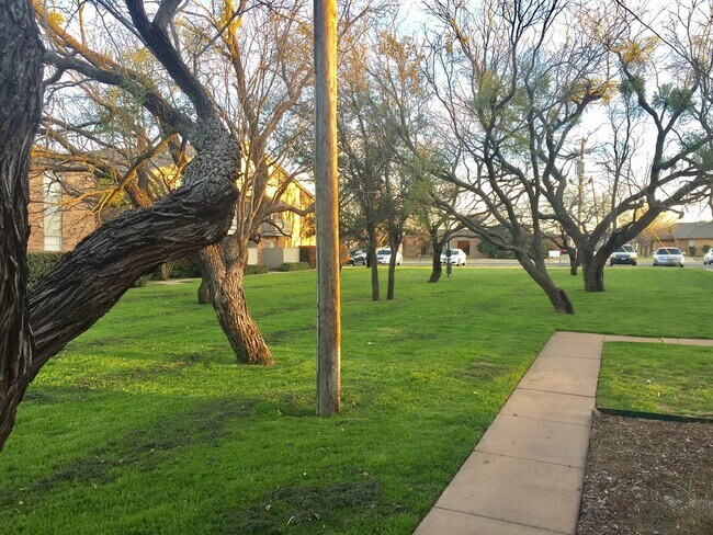 Building Photo - Mesquite Square - close to HSU, ACU, TTUHSC