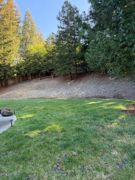 Building Photo - 2406 Alamo Glen Dr