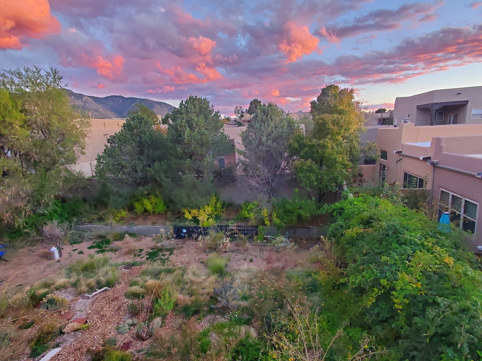 Building Photo - 12700 Desert Sky Ave NE