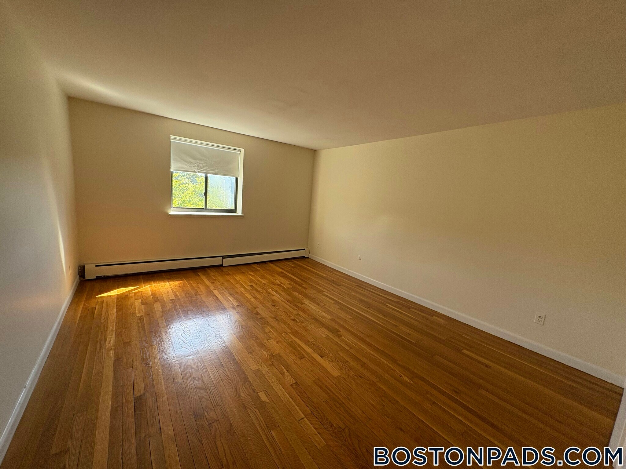 Building Photo - 66 Homer Ave