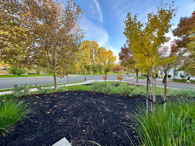 Building Photo - 372 S Caballo St