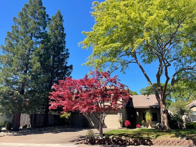 Building Photo - "Coveted Comfort: Spacious 4-Bed, 3-Bath H...