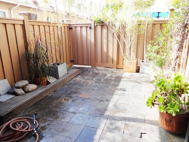 Patio outside of Living room/Dining room - 1010 Palm Ave