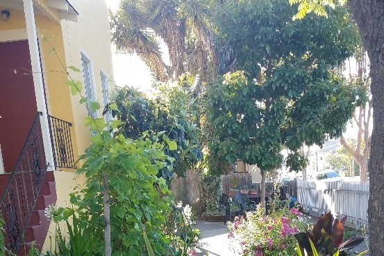 Apt B side of Garden - 1537 Schiller St