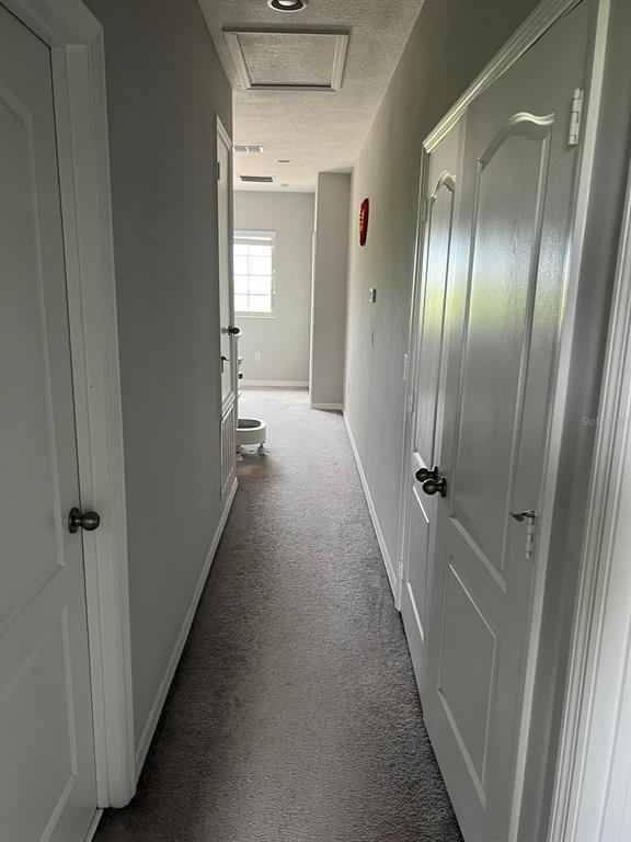 Building Photo - 393 Evertree Loop