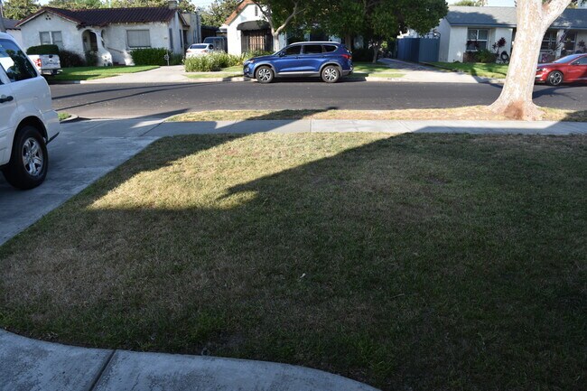 Front Lawn, Quiet Street - 423 S Indiana St