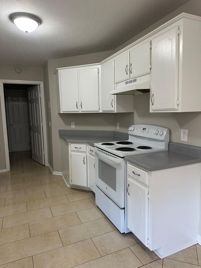 Building Photo - Large 3br 2ba with garage and privacy fence in Antioch, Tn