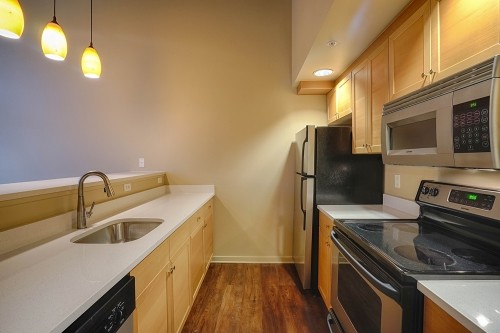 Building Photo - Saxe Apartments - Studio + extra room