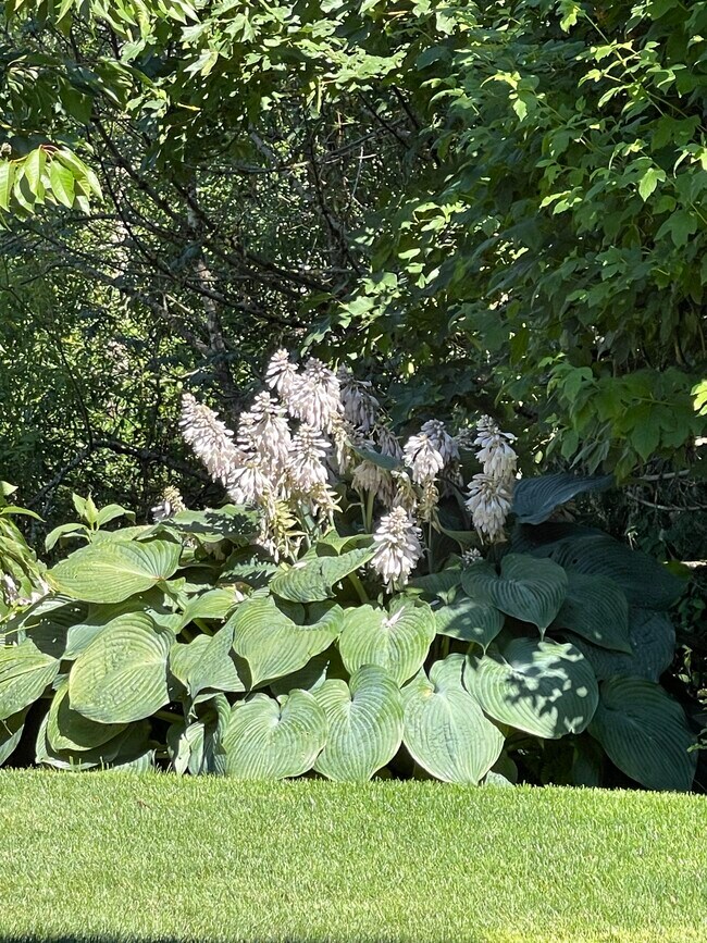 Building Photo - 15407 36th Dr SE