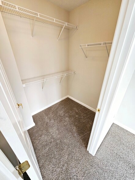 Building Photo - 4161 Tangletree Ct