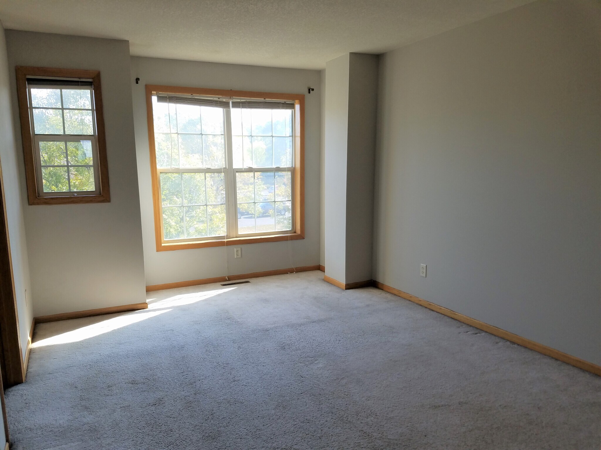Master bedroom windows - 2407 Foxglove Cir