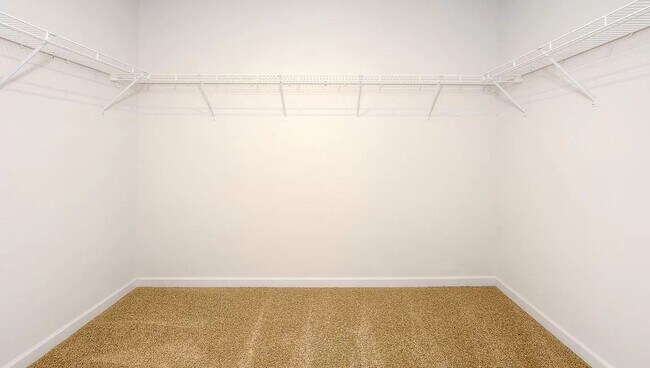 Building Photo - Spacious Newer Construction In Candler