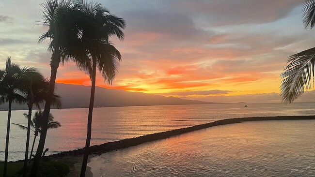 Building Photo - 30 Hauoli St