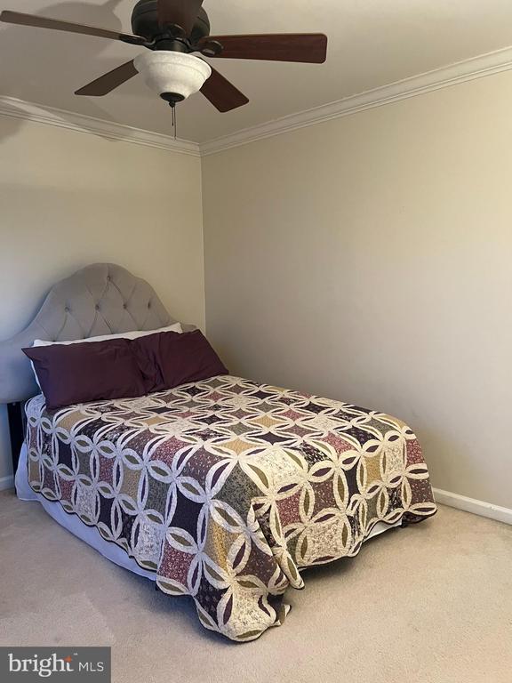 Building Photo - 12429 Willow Falls Dr