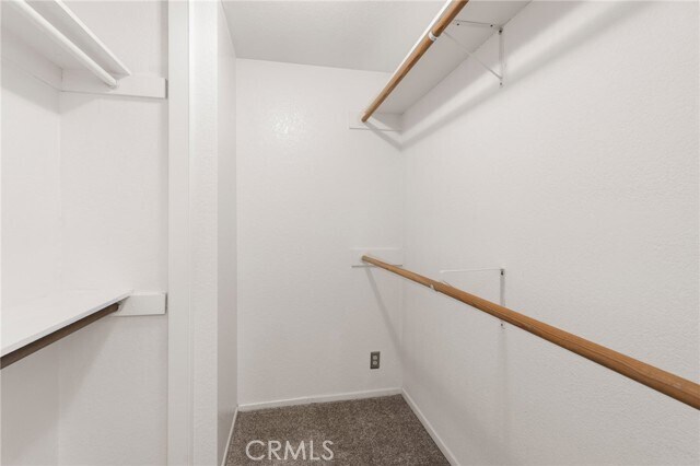 Building Photo - 2607 Vanderbilt Ln