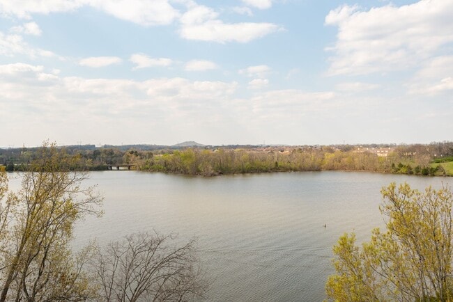 Building Photo - Lakefront Condo at Revery Point